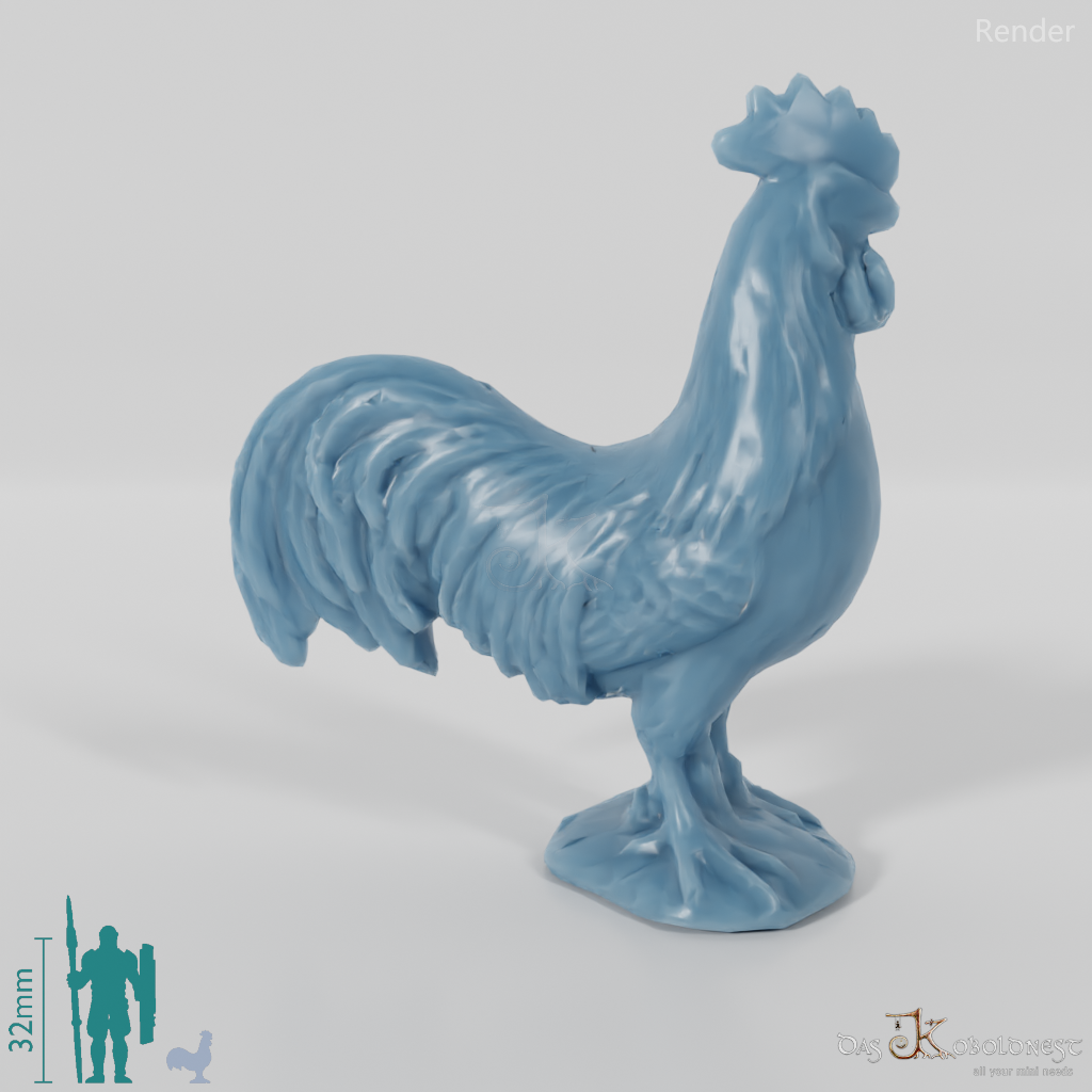 Huhn - Haushahn 02