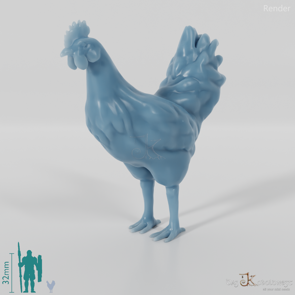 Huhn - Haushahn 03