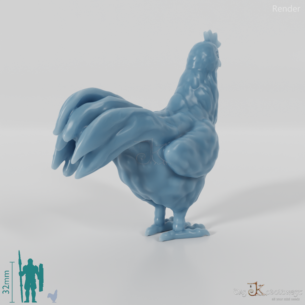 Huhn - Haushahn 01