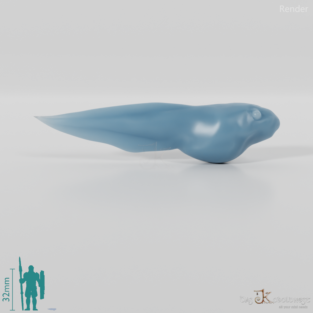 Frog - tadpole 01