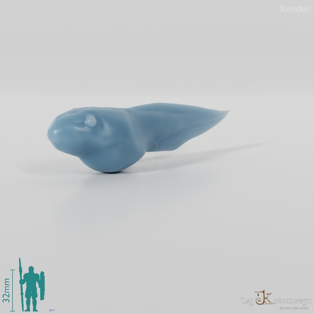 Frog - tadpole 01