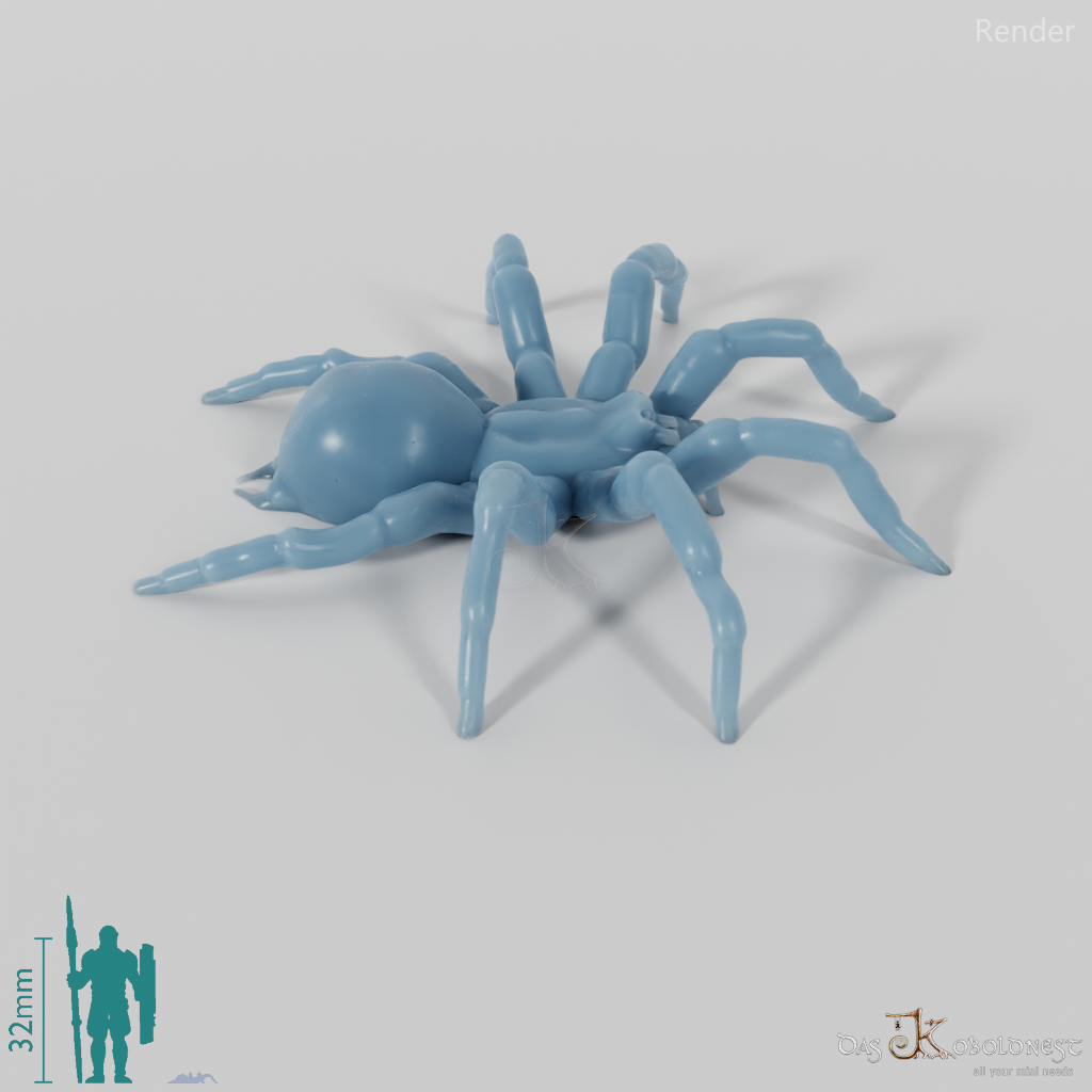 Spider - Tarantula 01