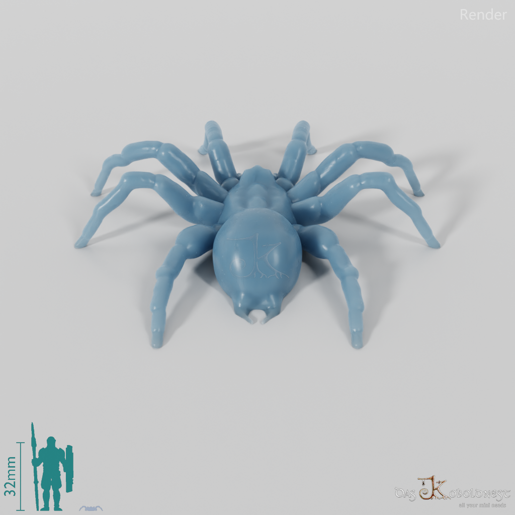 Spider - Tarantula 01