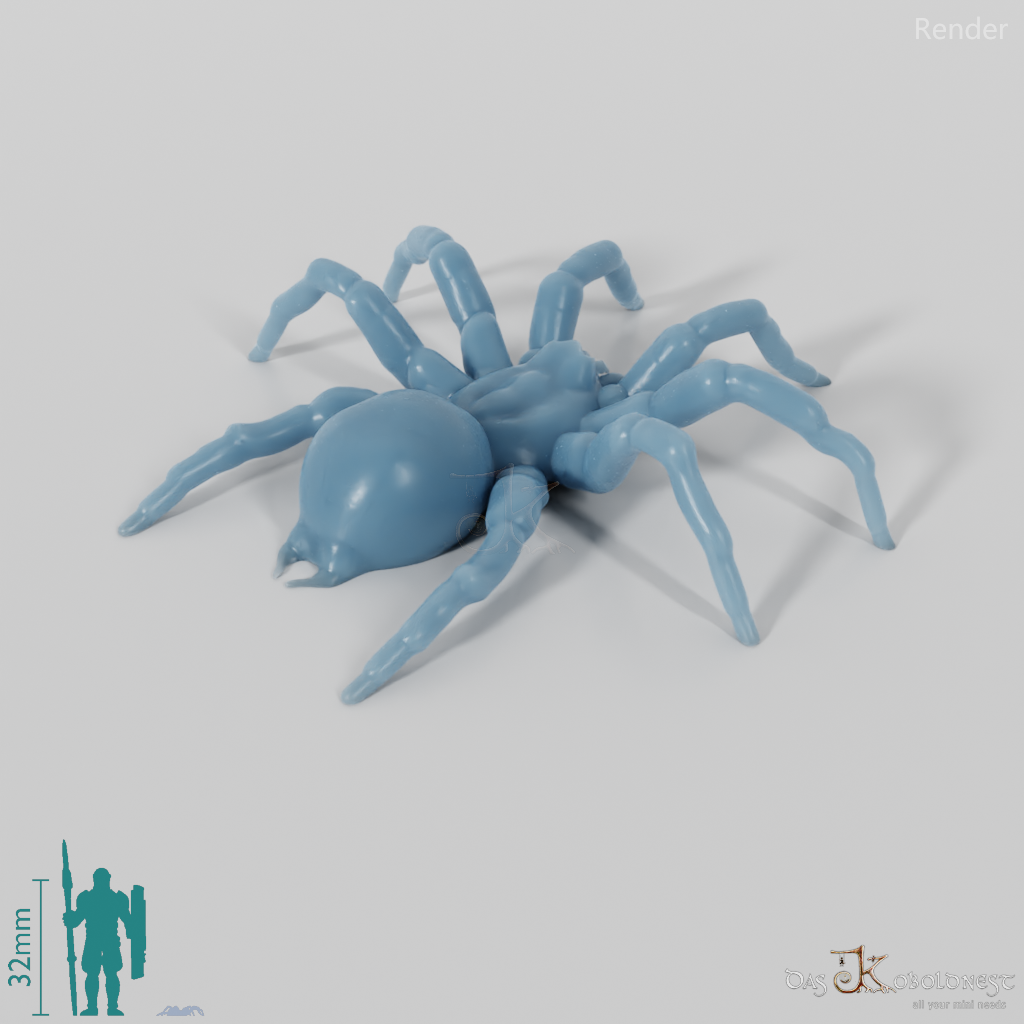 Spider - Tarantula 01