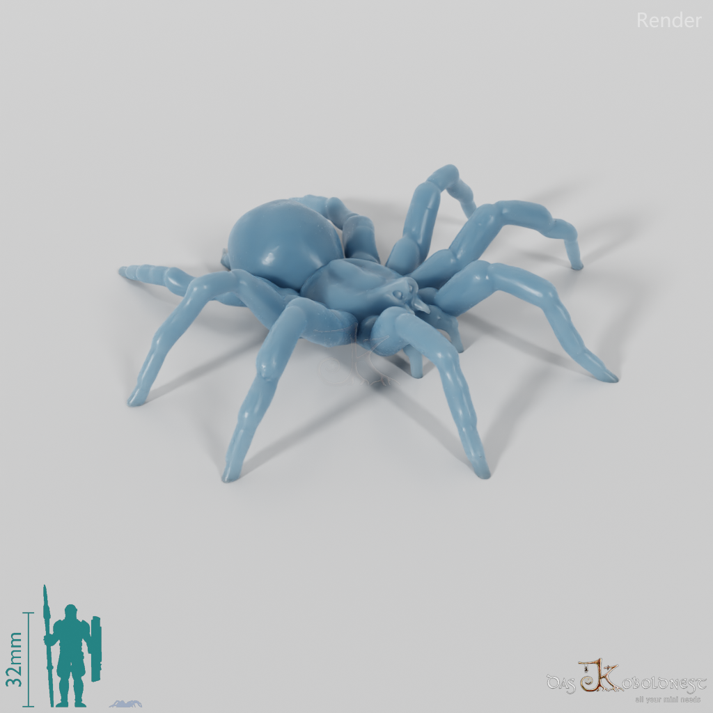 Spider - Tarantula 01