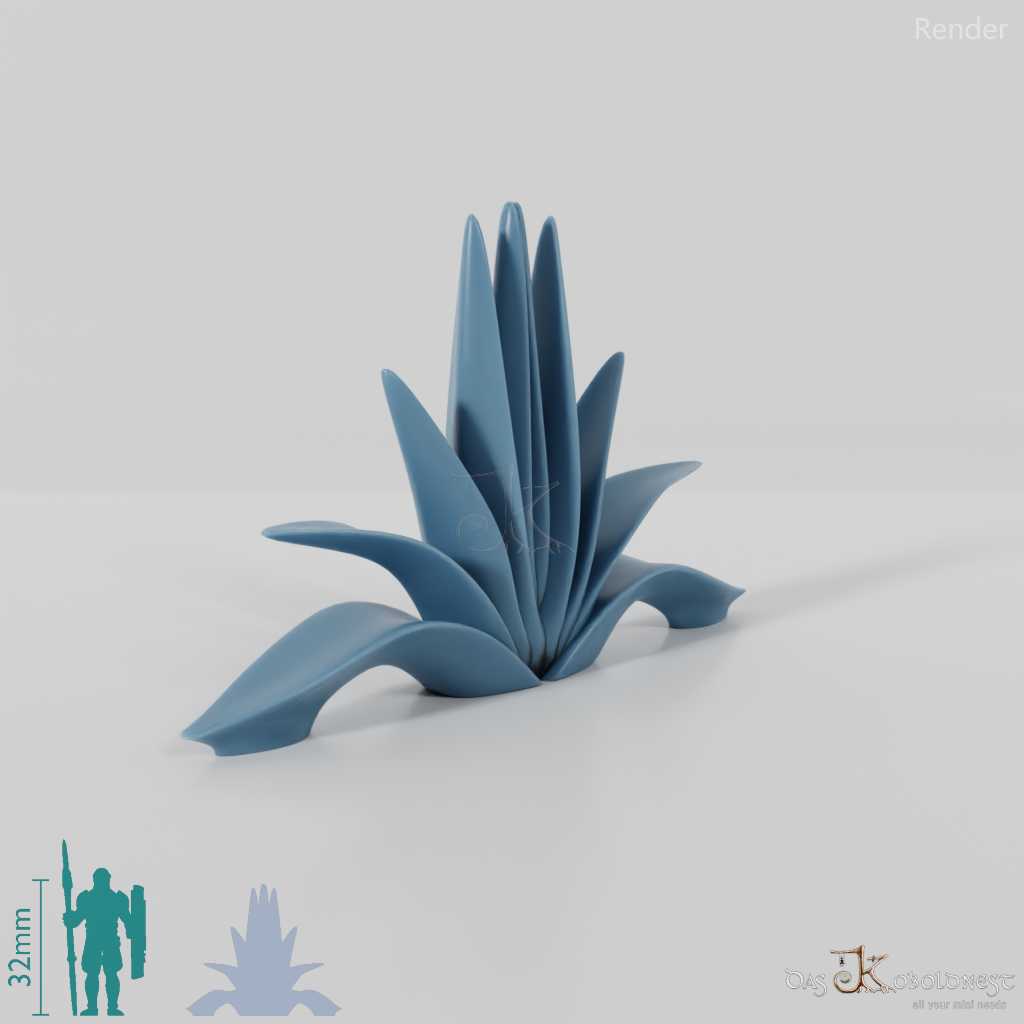 agave