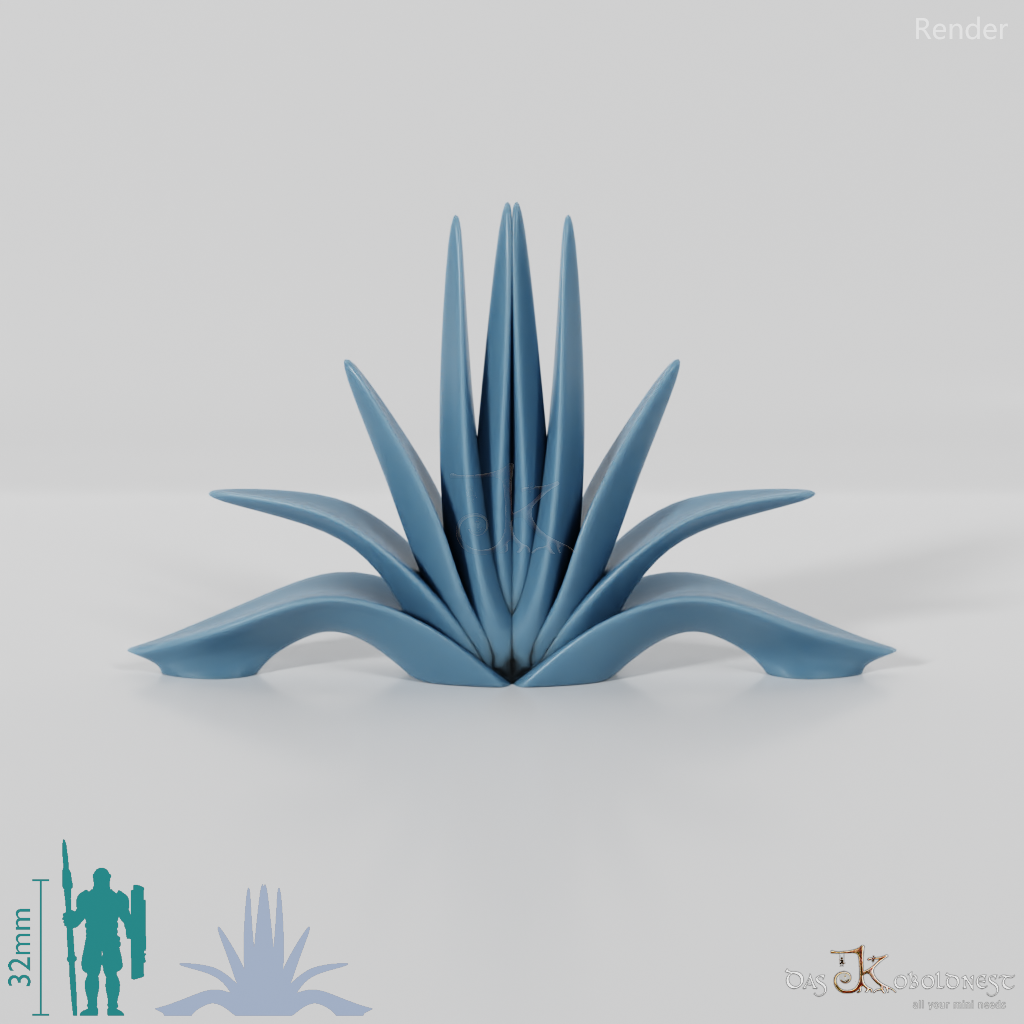 agave