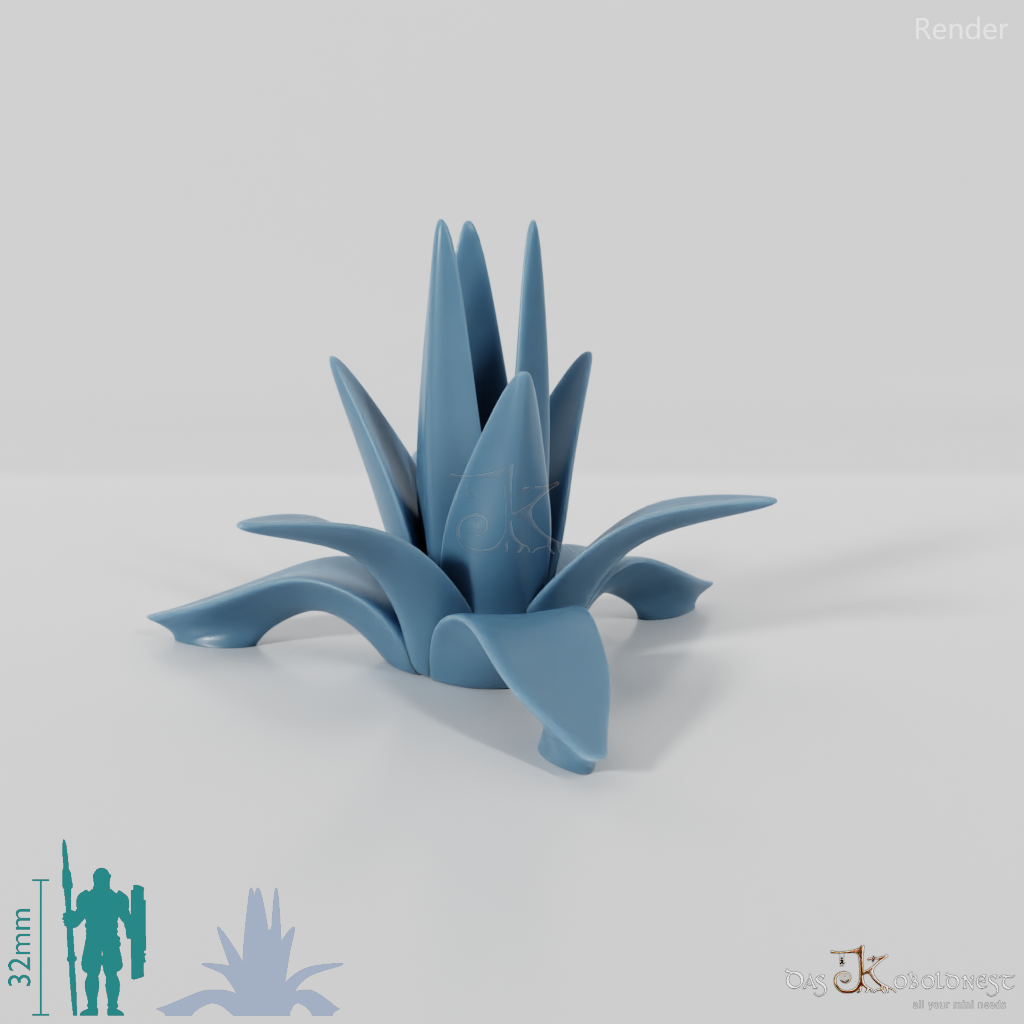 agave