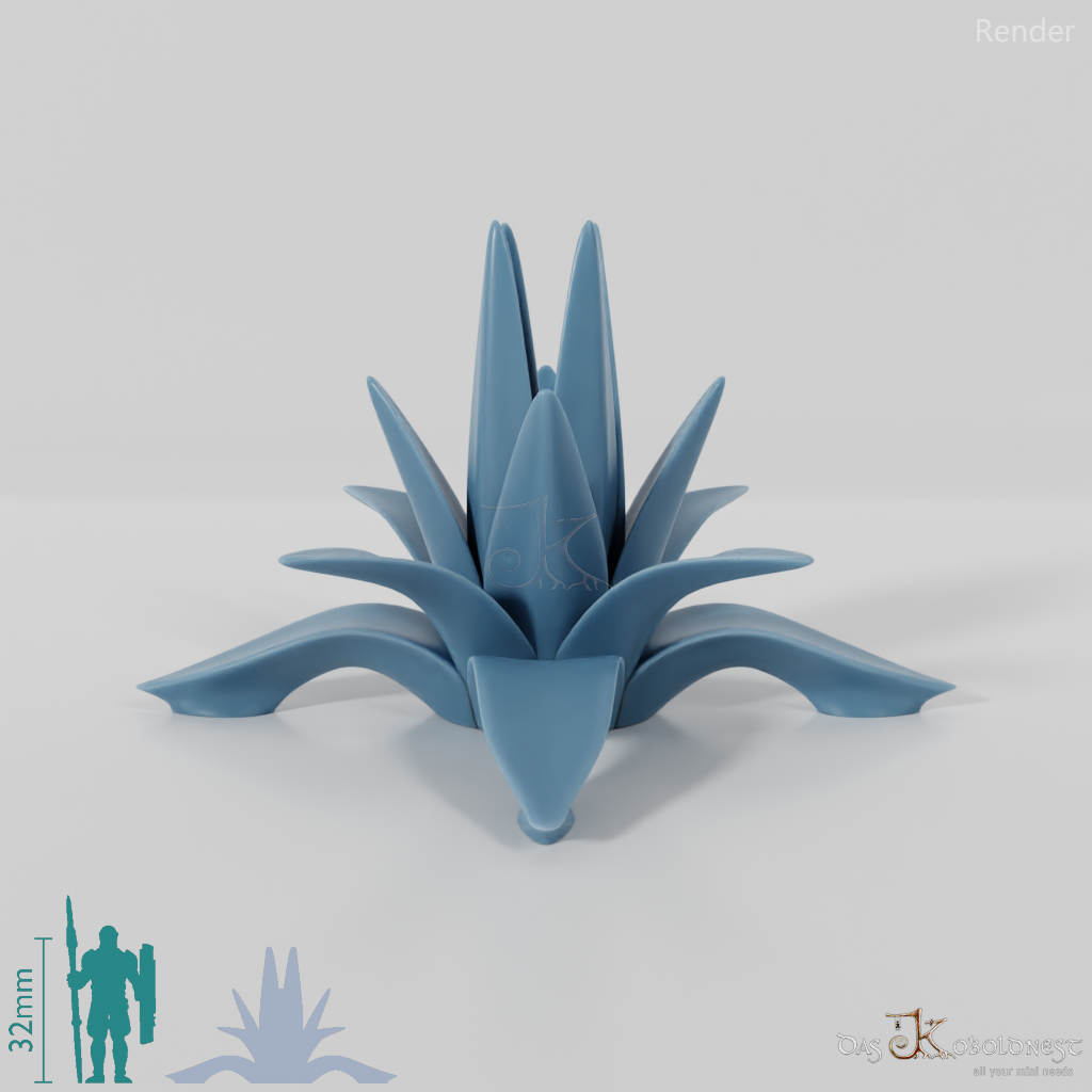 agave