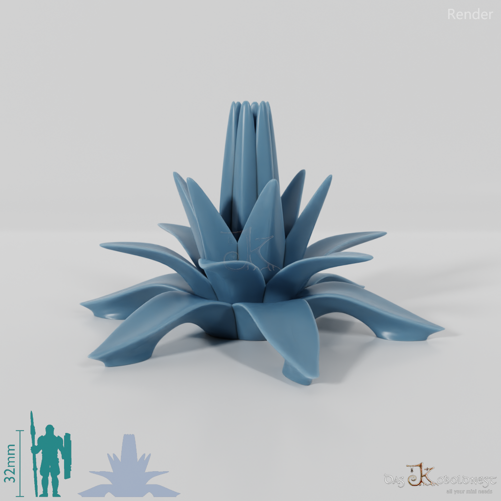 agave