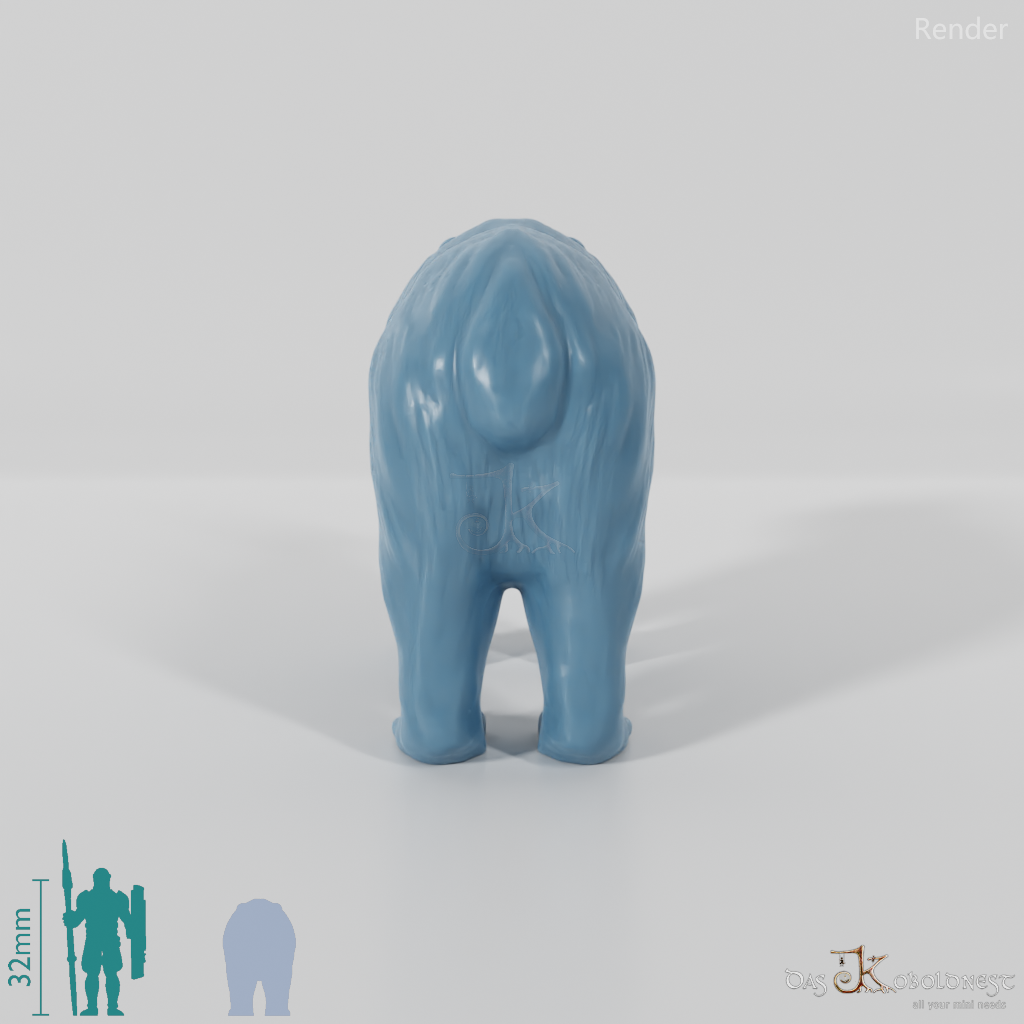 Bear - Brown Bear 01