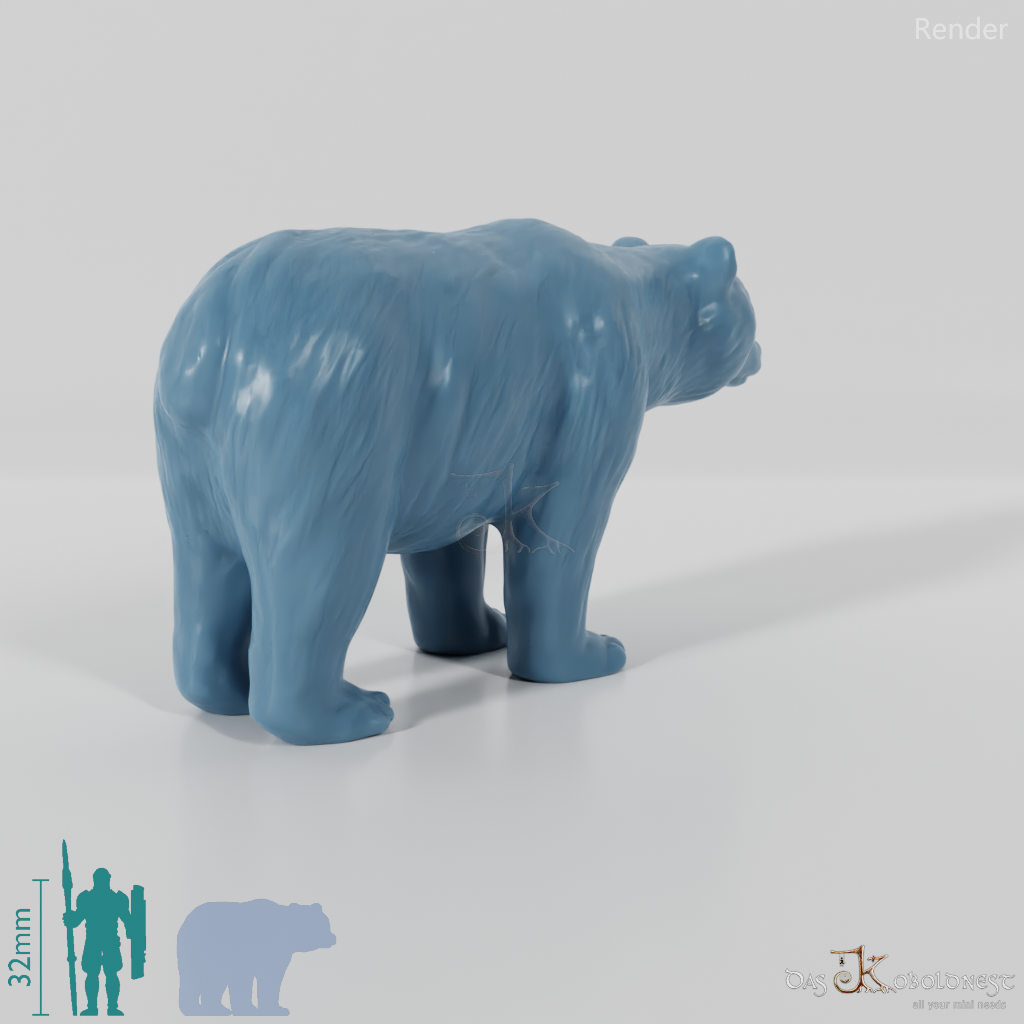 Bear - Brown Bear 01