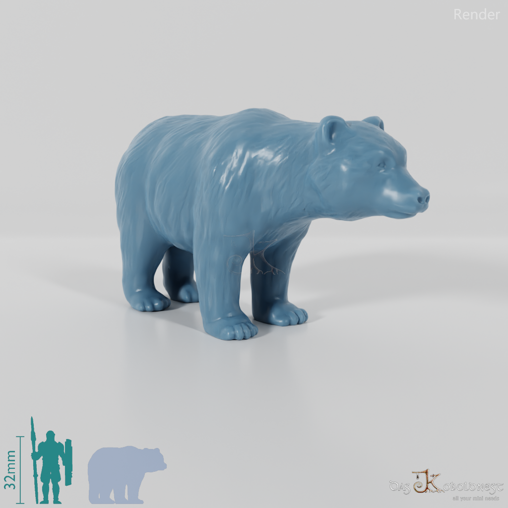 Bear - Brown Bear 01