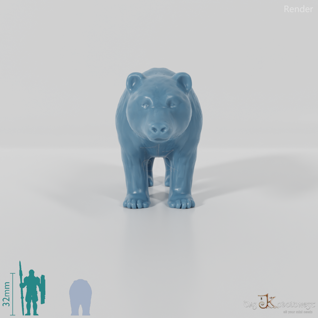 Bear - Brown Bear 01