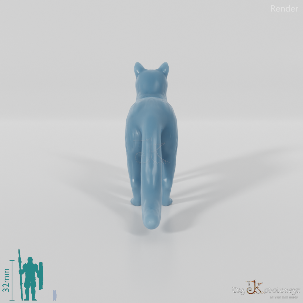 Cat - domestic cat 02