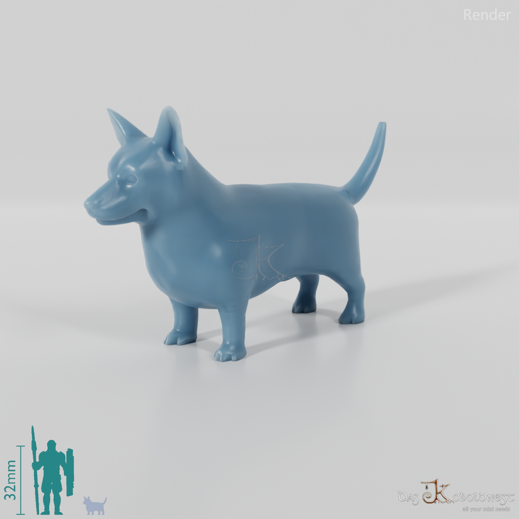 Dog - Corgi 01