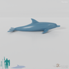 Dolphin - Dolphin 01