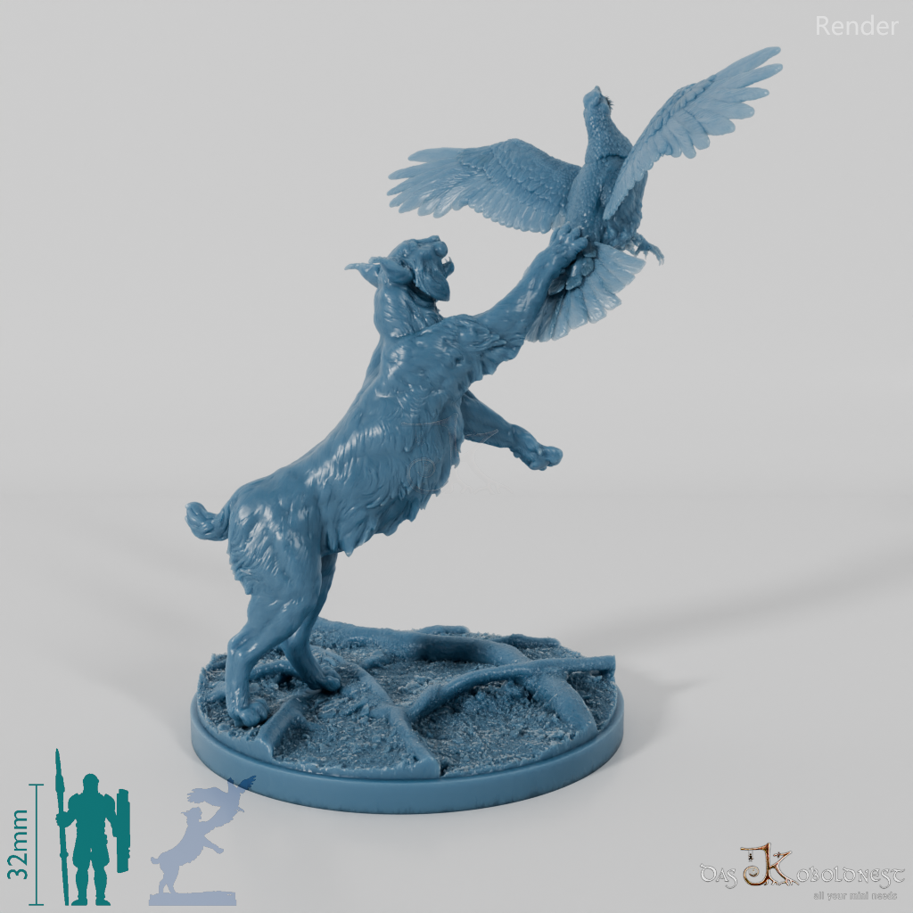 Lynx - Eurasian lynx hunting for capercaillie