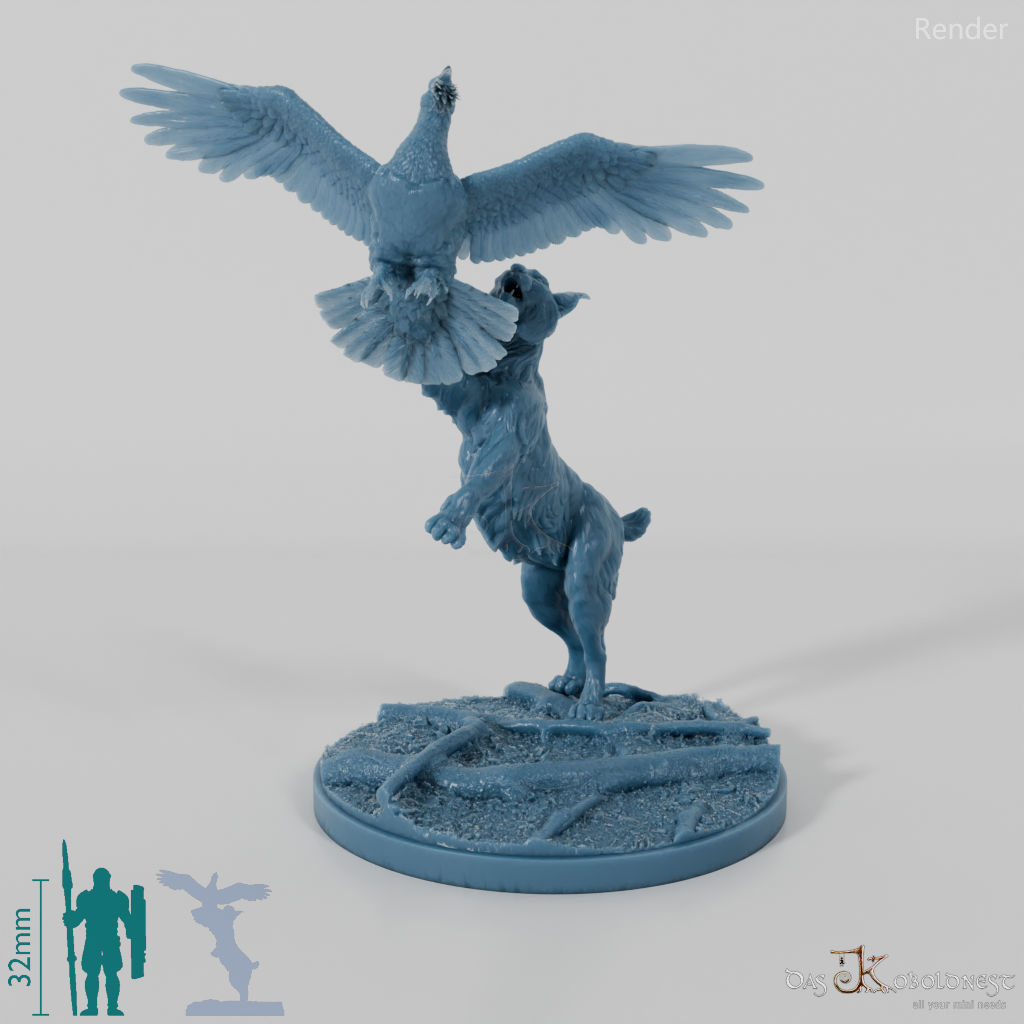 Lynx - Eurasian lynx hunting for capercaillie