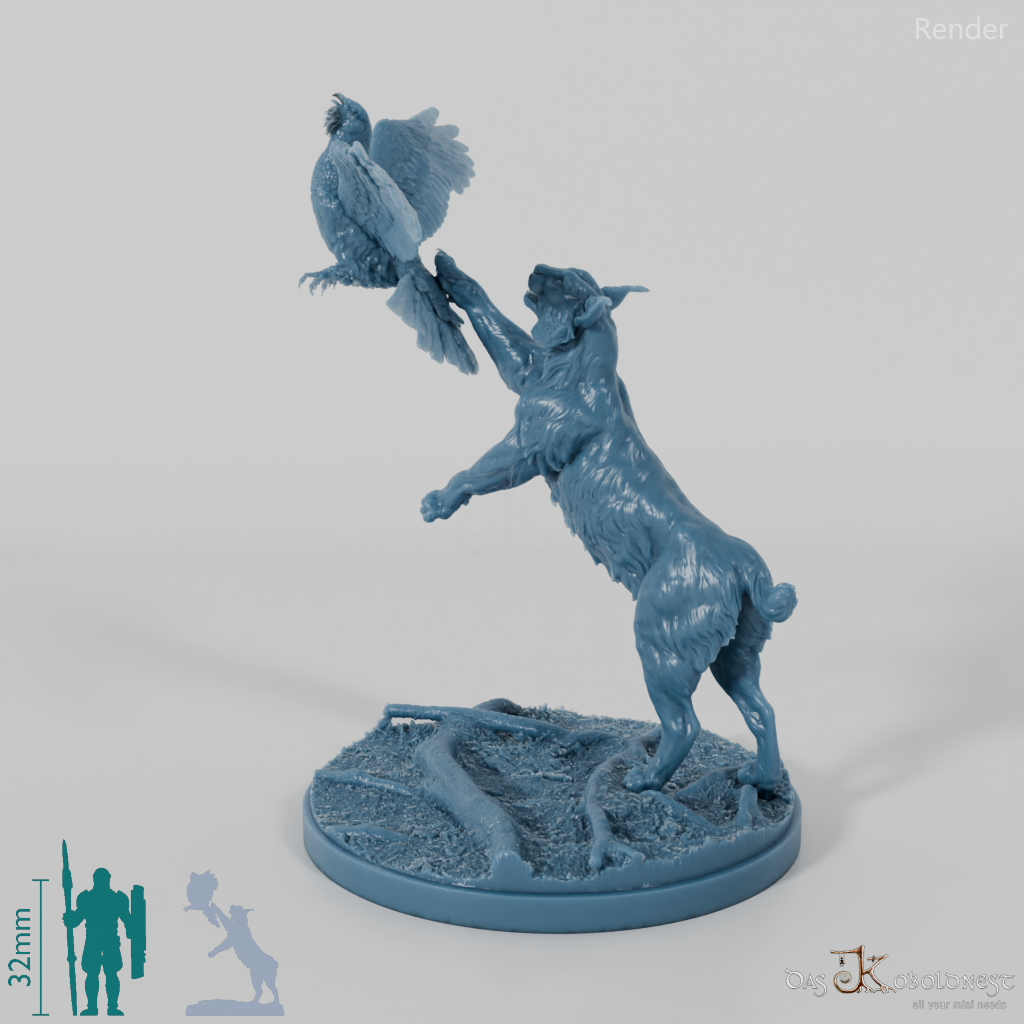 Lynx - Eurasian lynx hunting for capercaillie