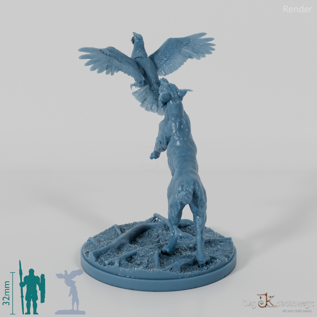 Lynx - Eurasian lynx hunting for capercaillie