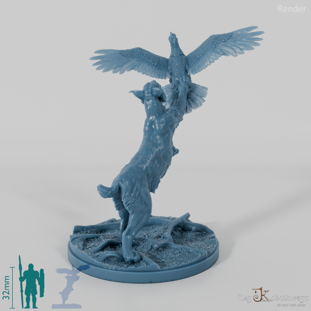 Lynx - Eurasian lynx hunting for capercaillie