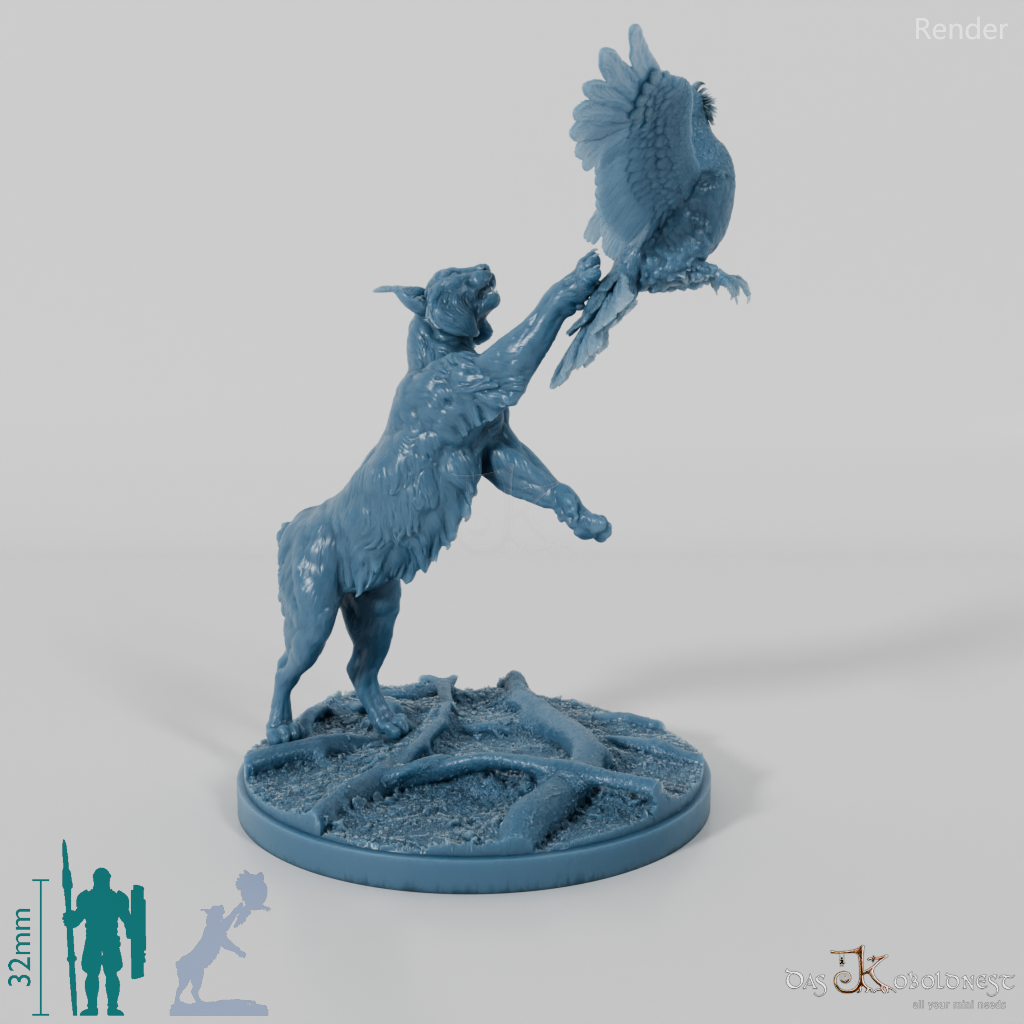 Lynx - Eurasian lynx hunting for capercaillie