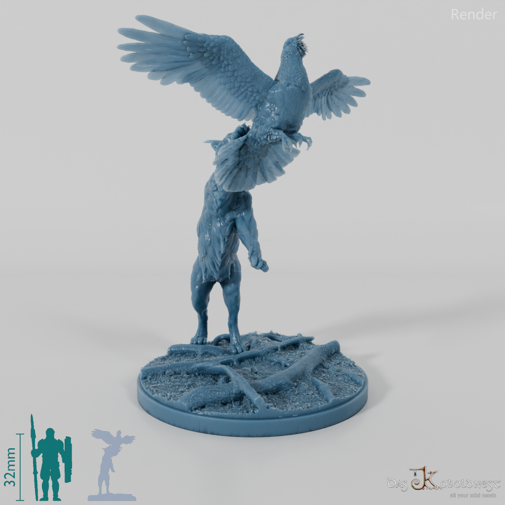 Lynx - Eurasian lynx hunting for capercaillie