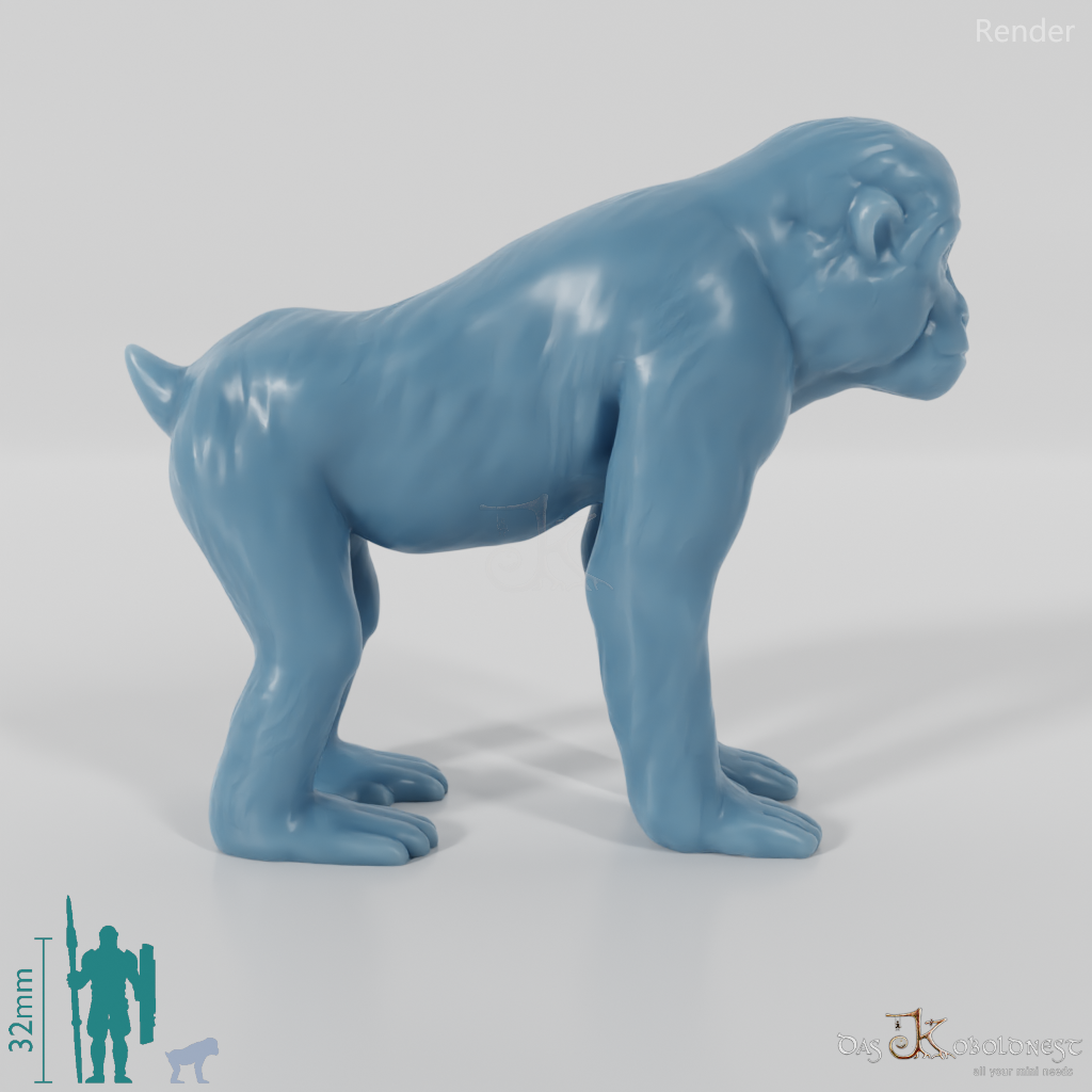 Monkey - Monkey 01