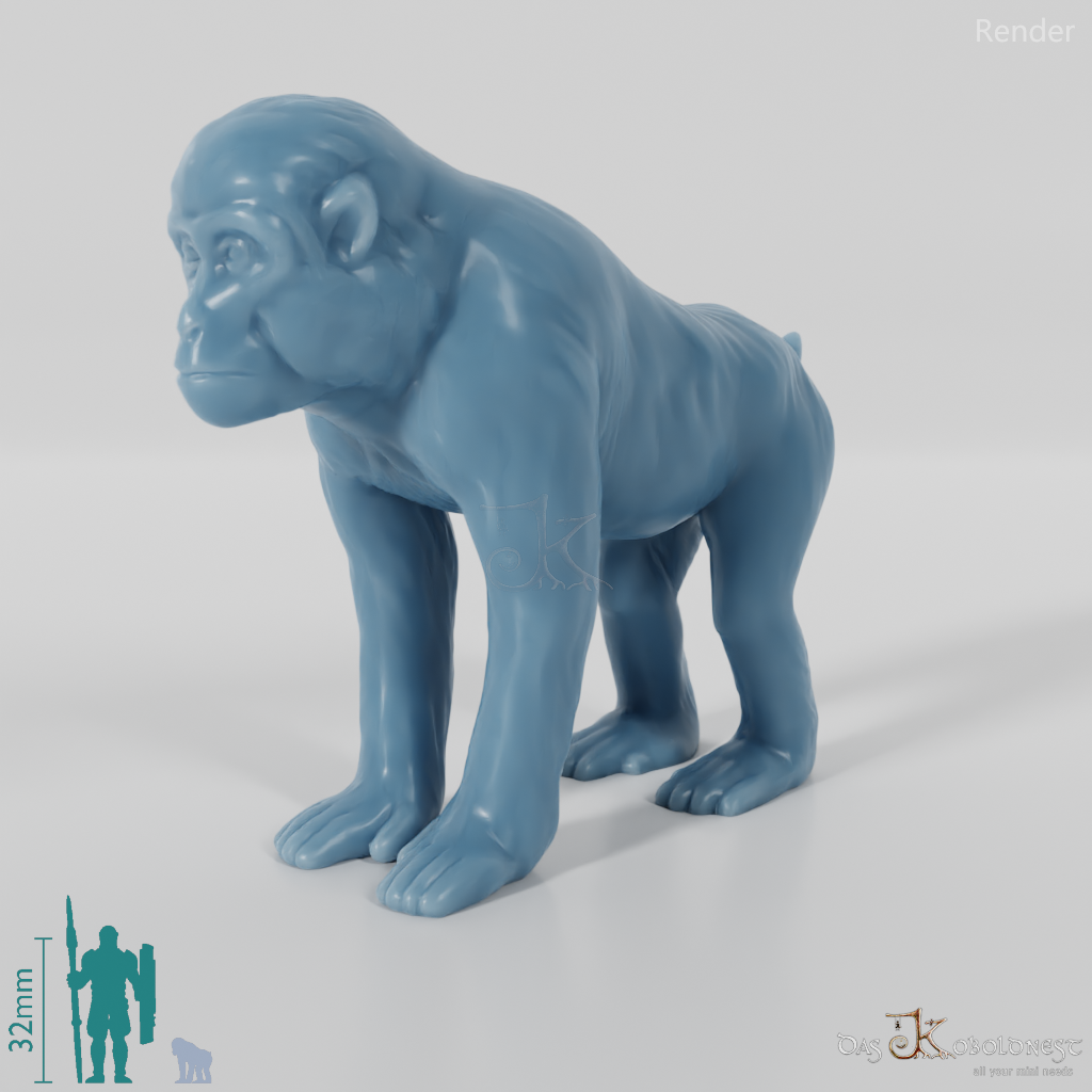 Monkey - Monkey 01