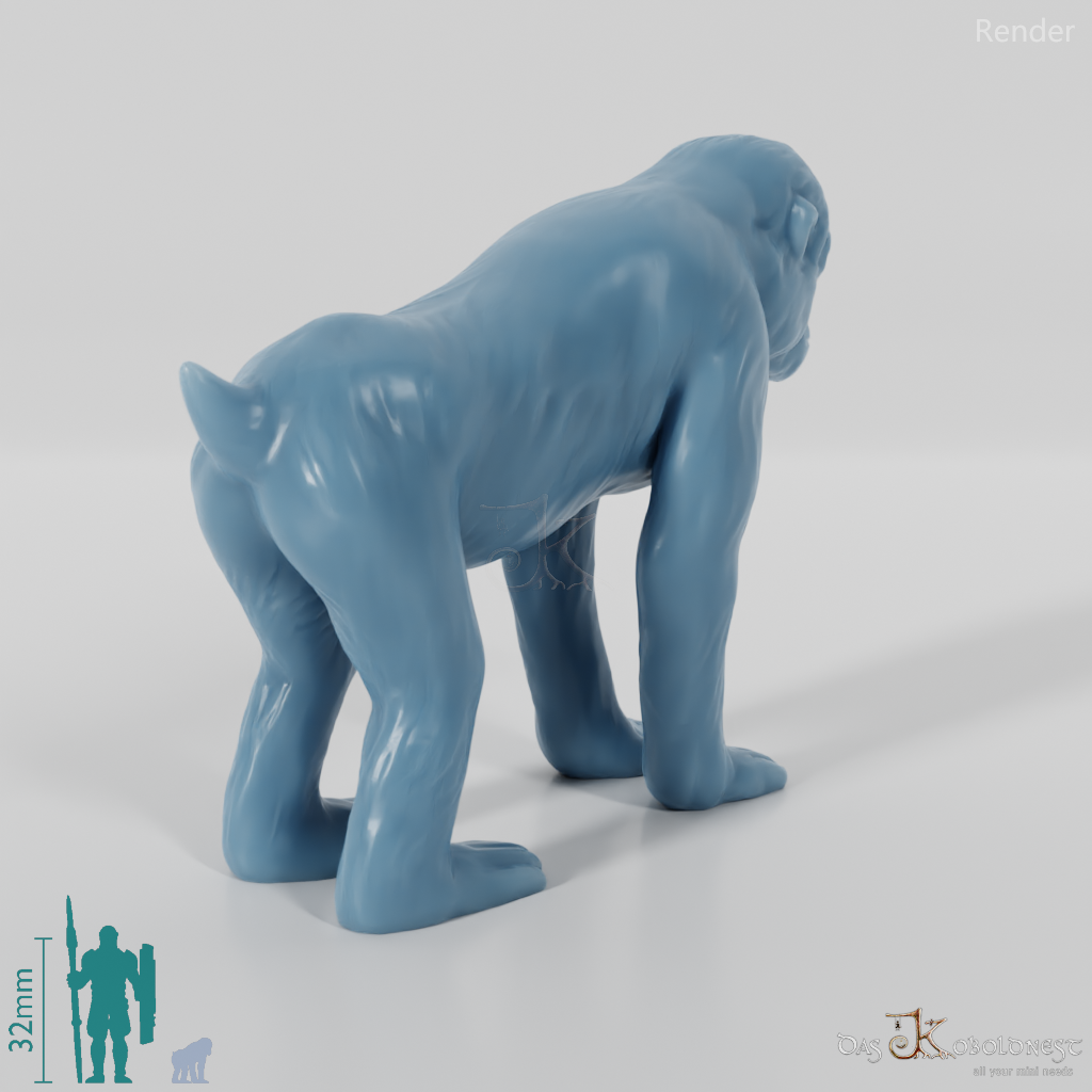 Monkey - Monkey 01