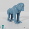 Monkey - Monkey 01