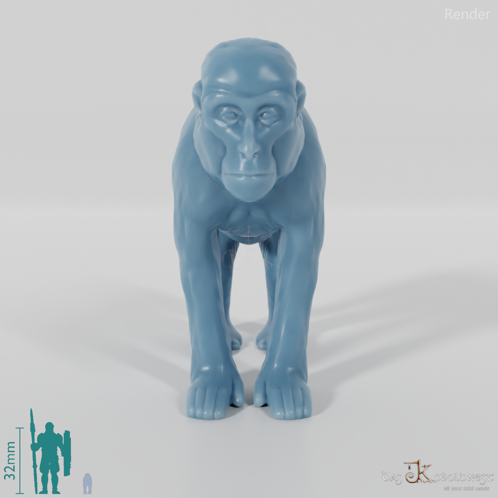 Monkey - Monkey 01