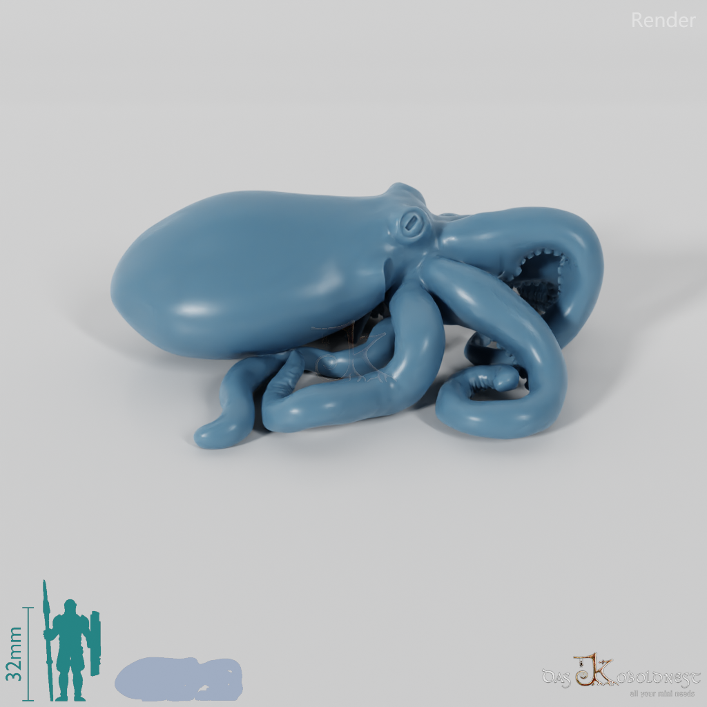 Tintenfisch - Großer Oktopus 01