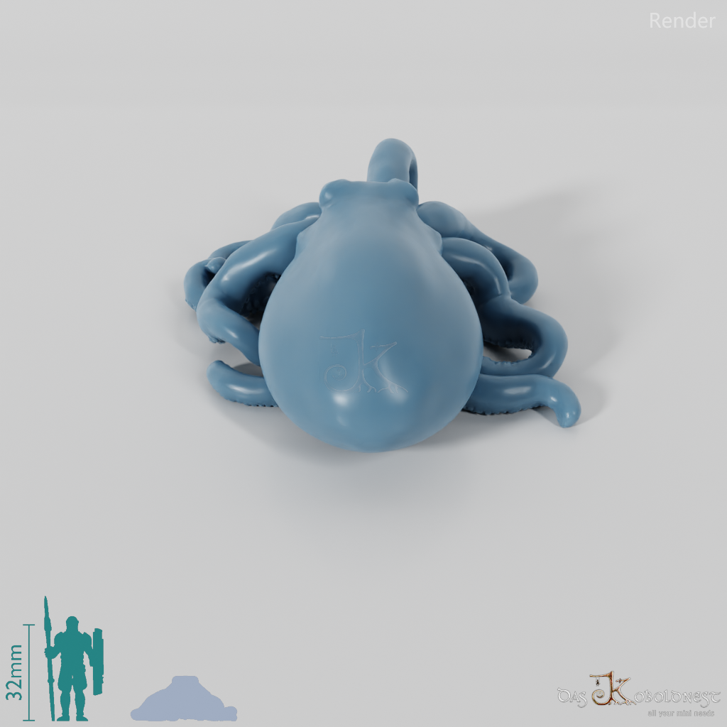 Tintenfisch - Großer Oktopus 01