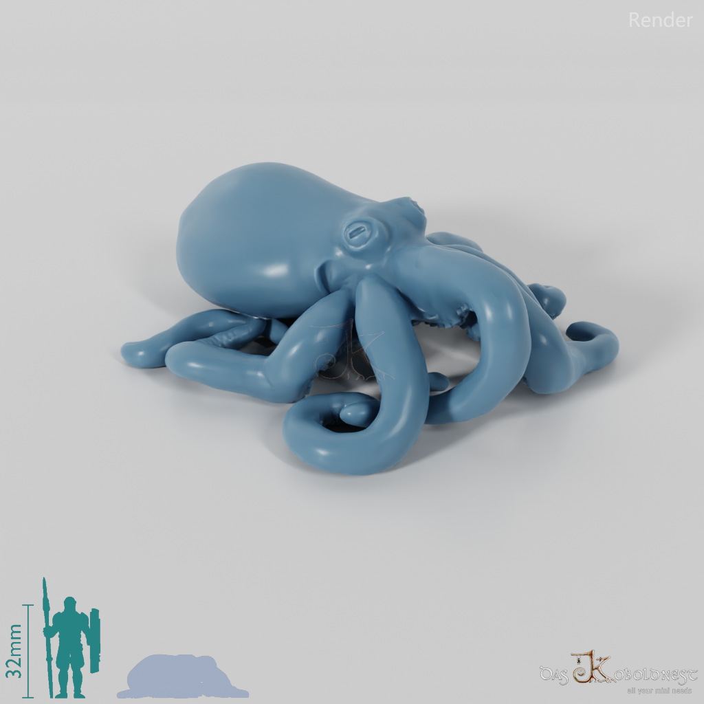 Tintenfisch - Großer Oktopus 01