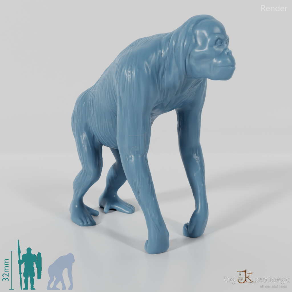 Menschenaffe - Orangutan 01