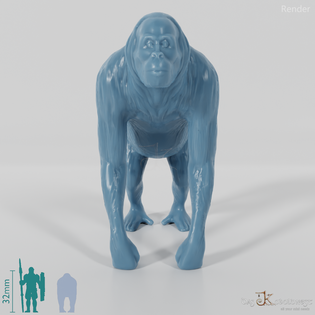 Menschenaffe - Orangutan 01