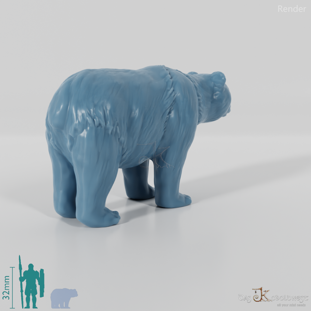 Bear - Giant Panda 01