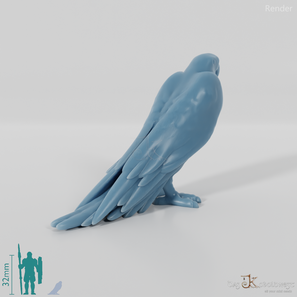 Papagei - Papagei 01