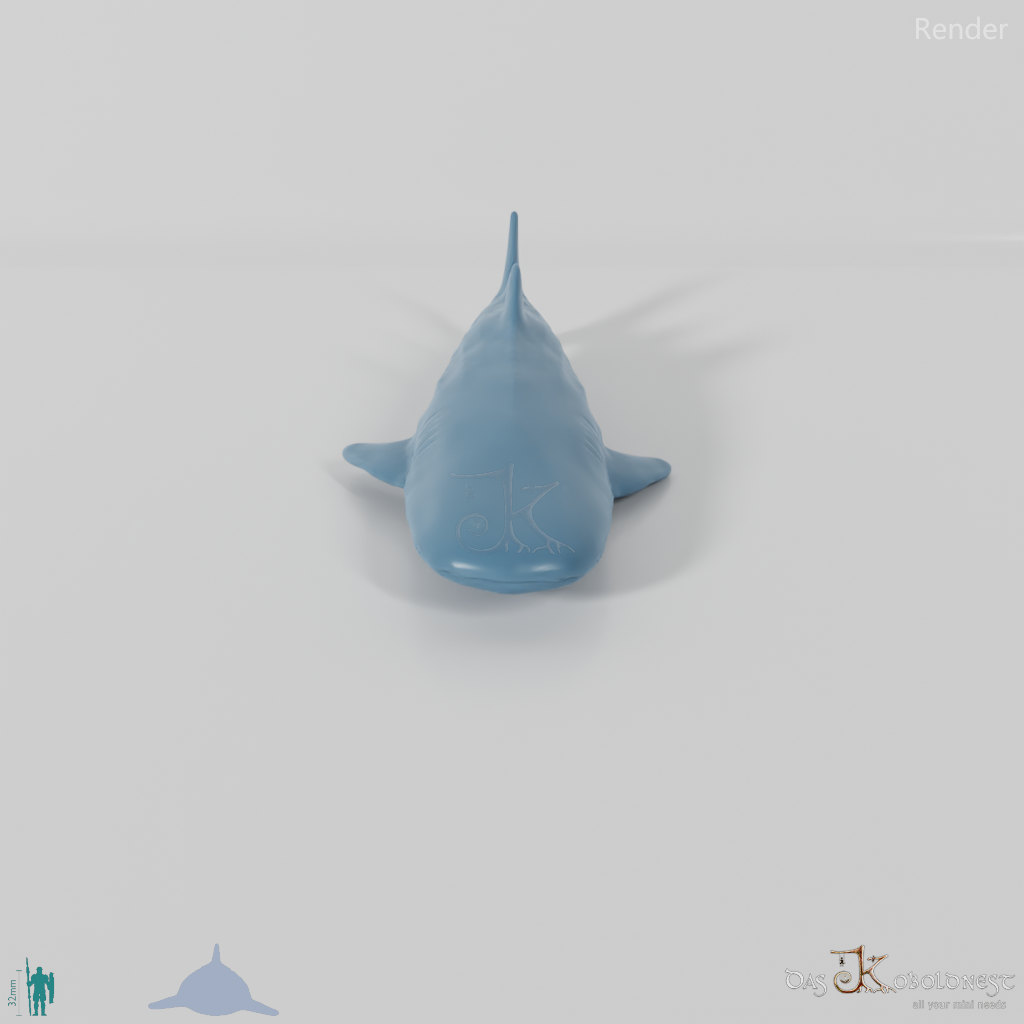 Shark - Whale Shark 01