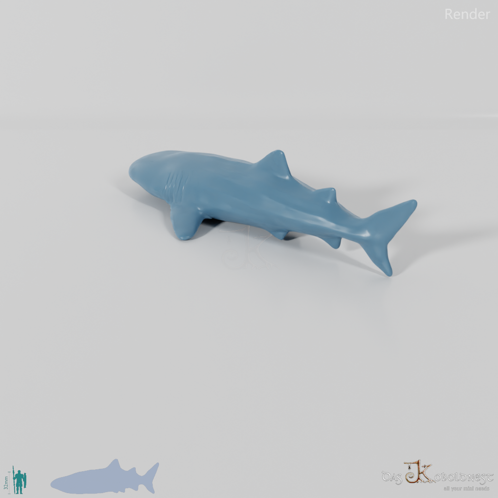 Shark - Whale Shark 01