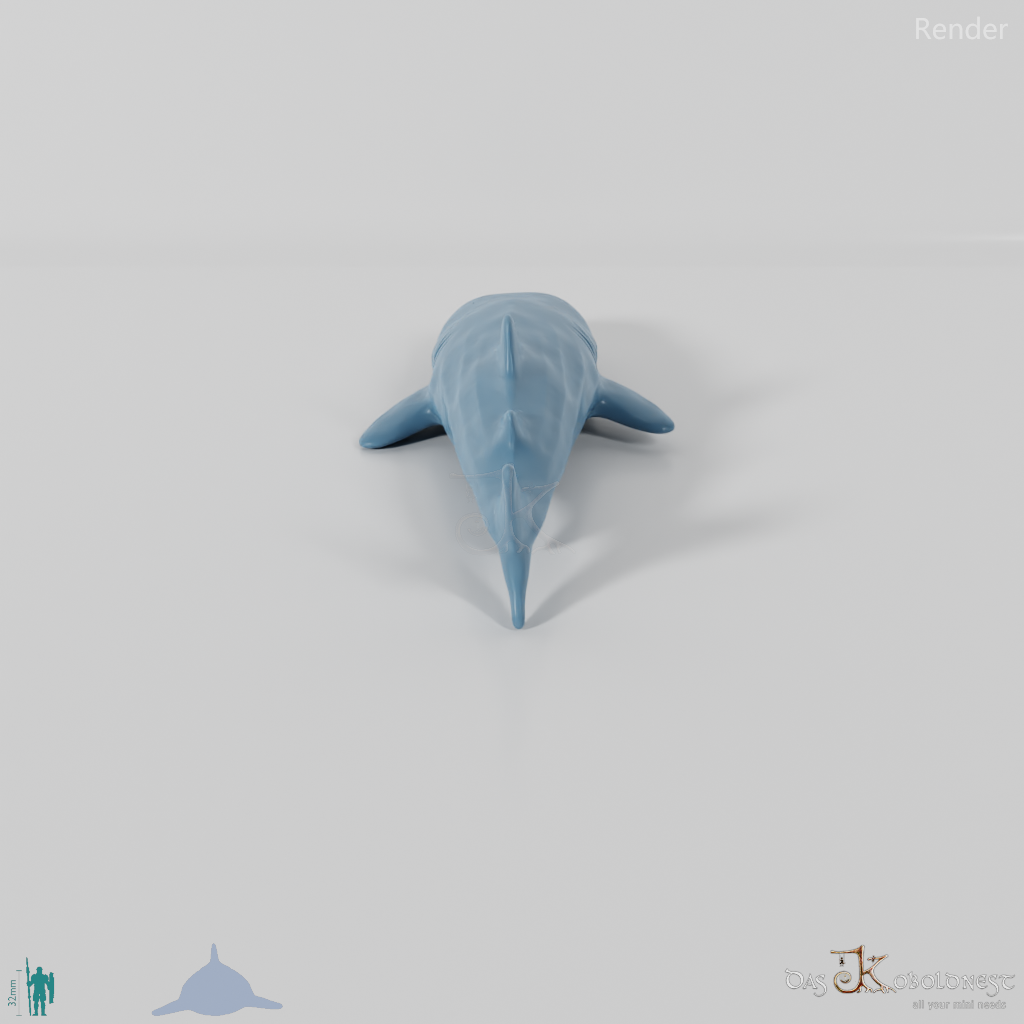 Shark - Whale Shark 01