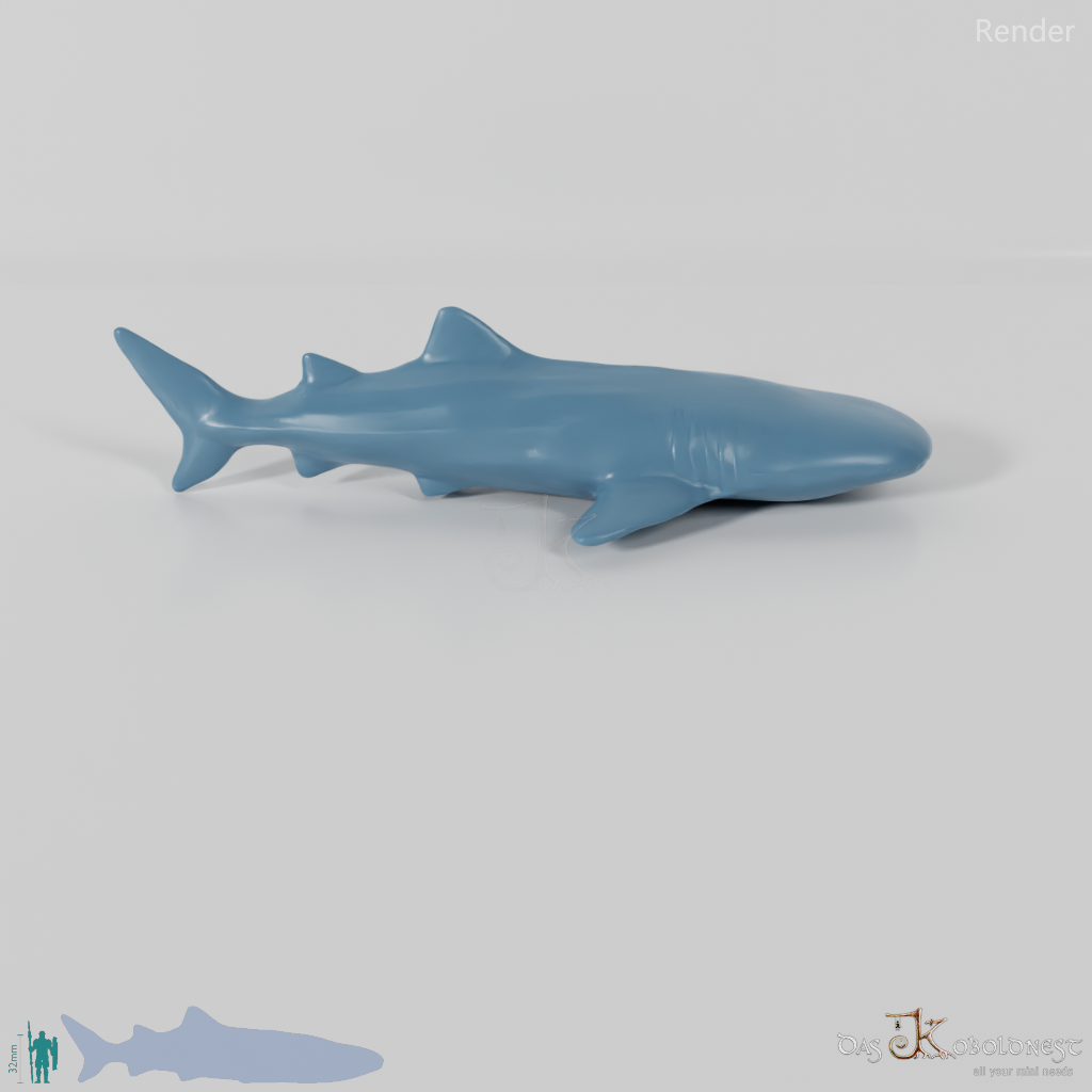 Shark - Whale Shark 01