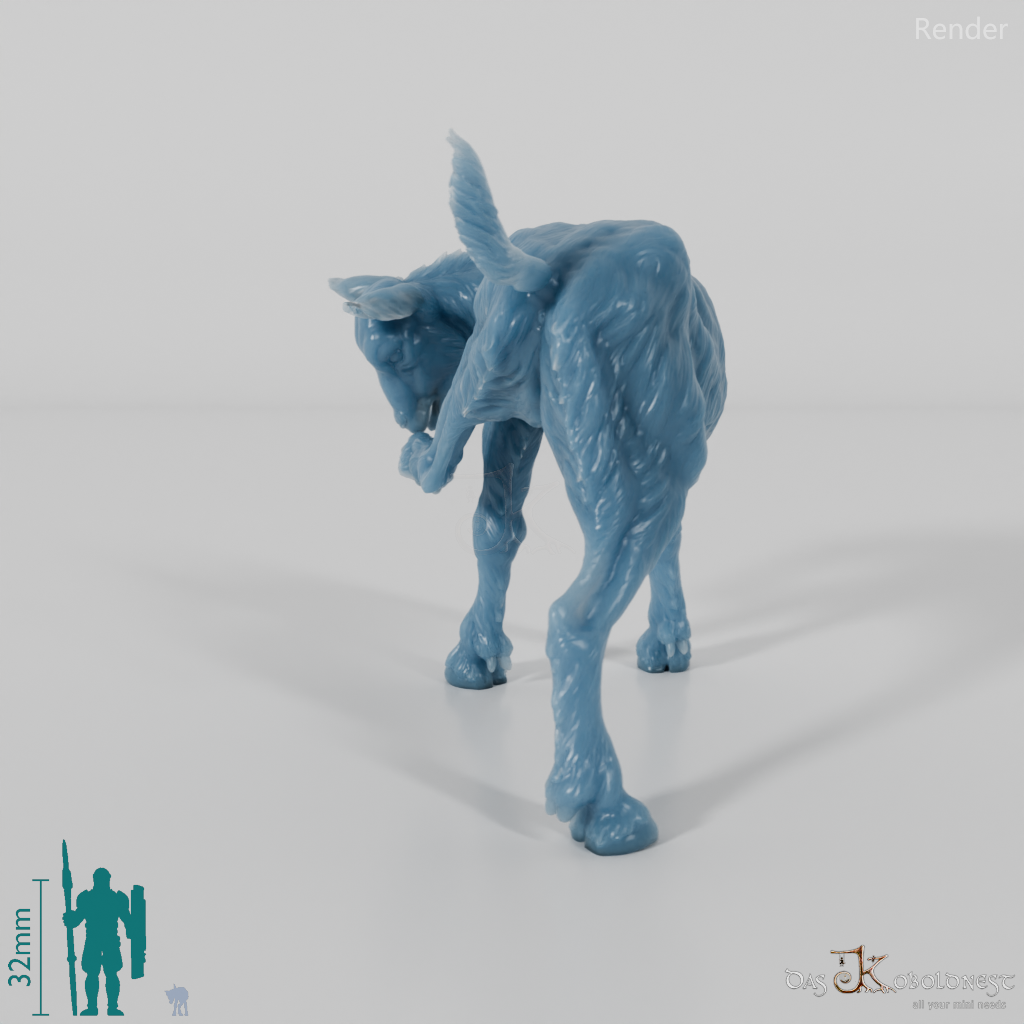 Ziege - Gebirgsziege - Kitz 02