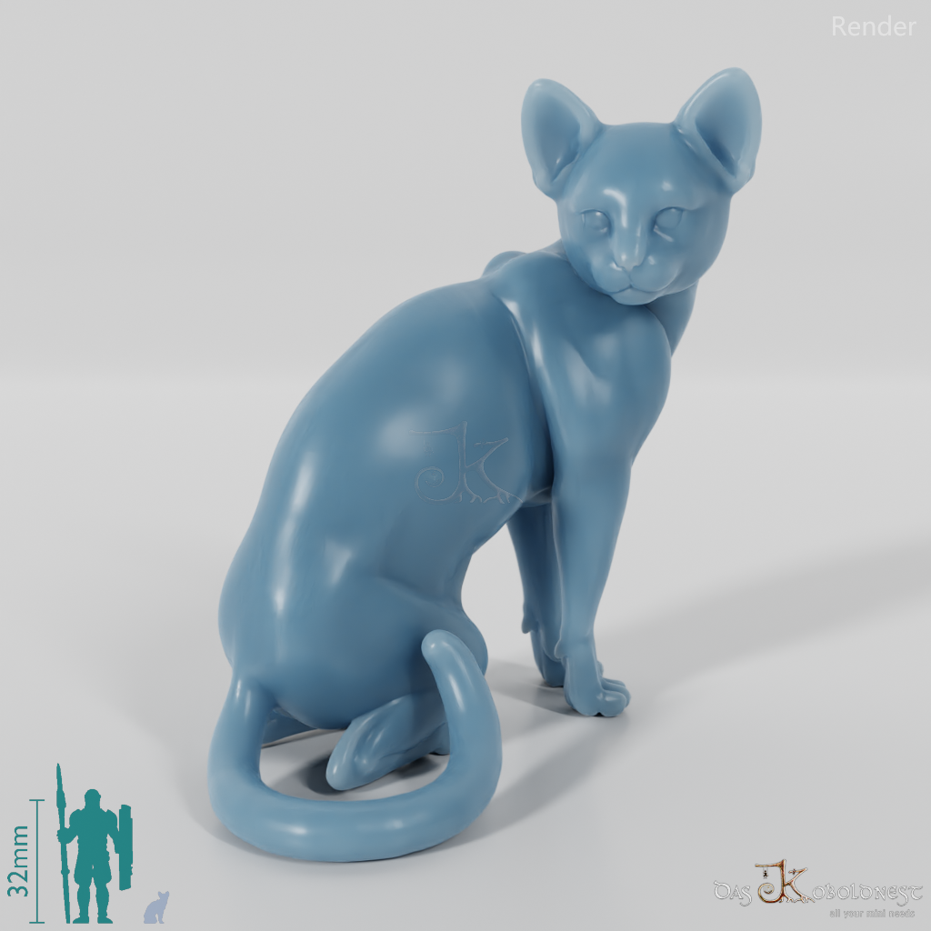 Katze - Sitzende Hauskatze 01