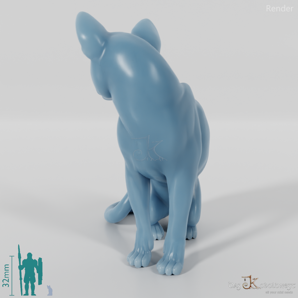 Katze - Sitzende Hauskatze 01