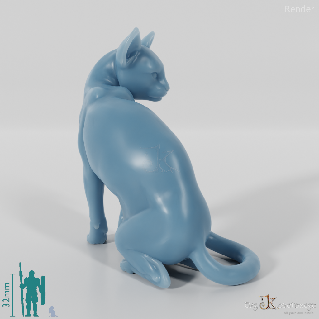 Katze - Sitzende Hauskatze 01