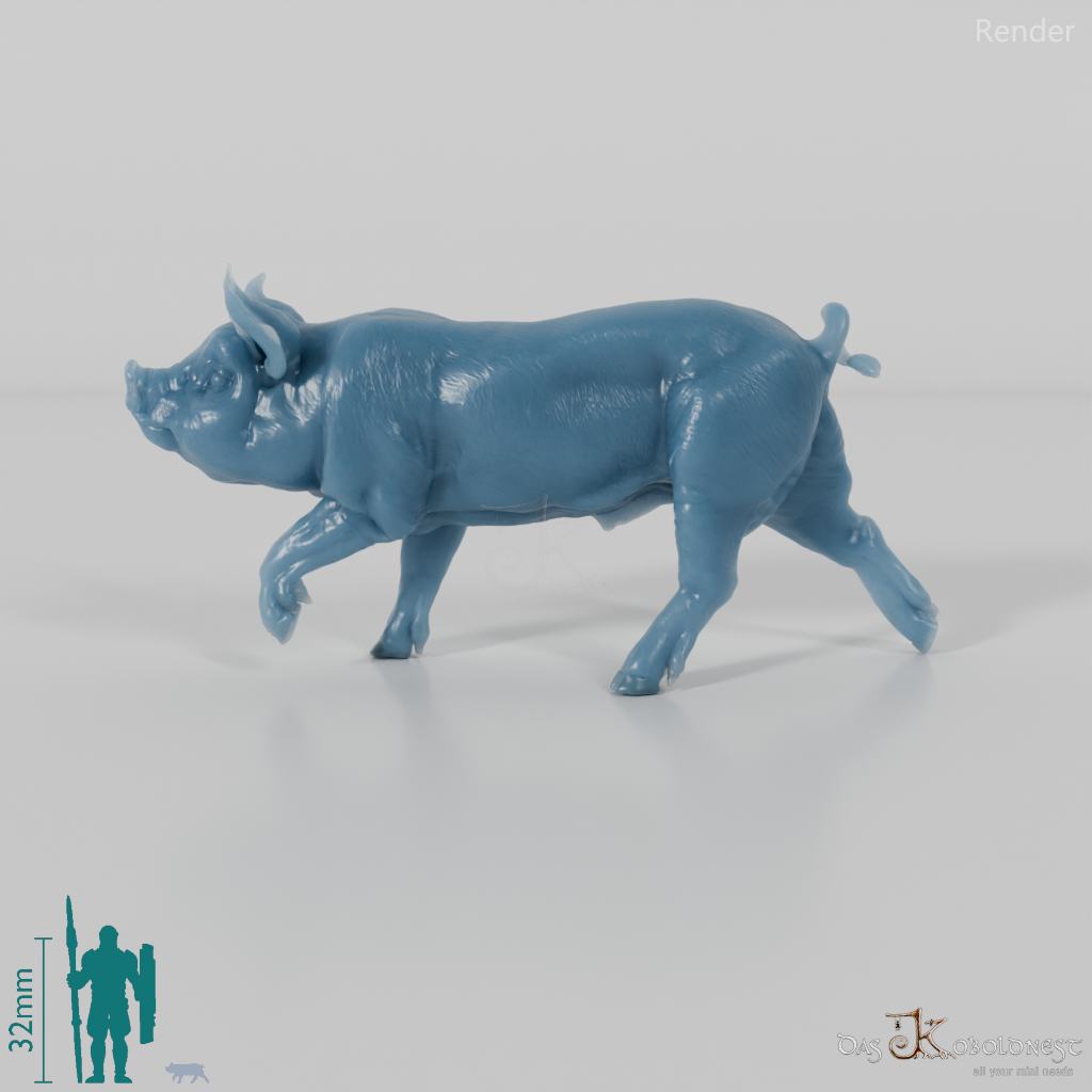 Schwein - Berkshire-Ferkel 04