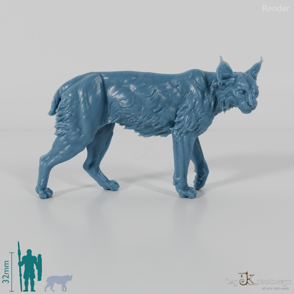 Luchs - Rotluchs 01